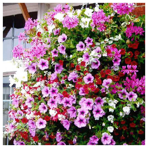 Hanging Baskets