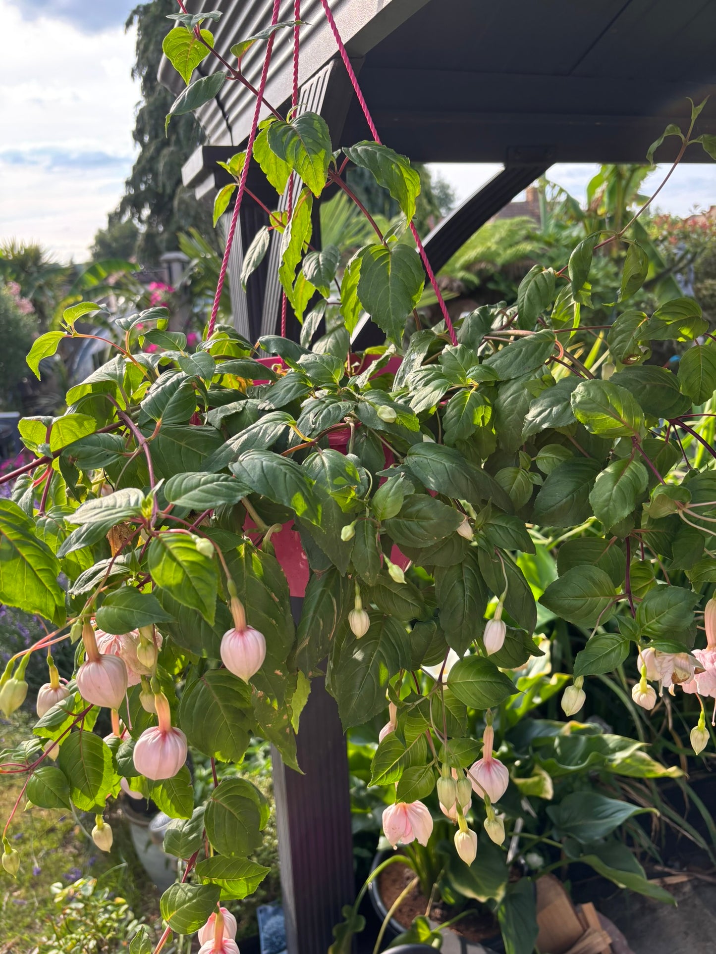 Giant White Marshmallow Hanging Basket